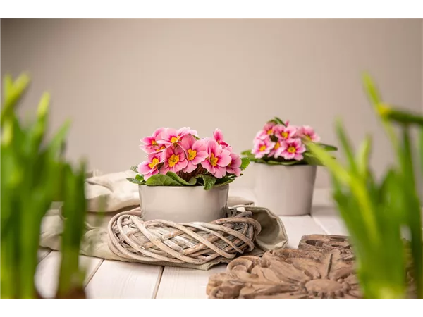 Ausbildung zur Friedhofsgärtner/in (m/w/d)