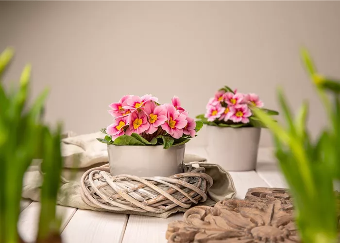 Gärtner/-in Fachrichtung Garten- und Landschaftsbau (m/w/d) Gärtner/-in Fachrichtung Garten- und Landschaftsbau (m/w/d)