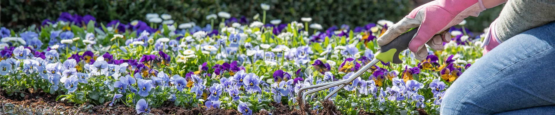 Grabpflege Grabpflege