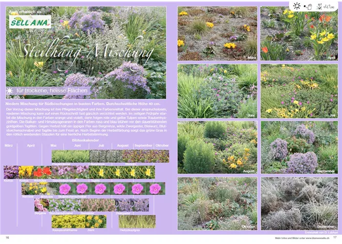 Steilhang-Mischung Steilhang-Mischung