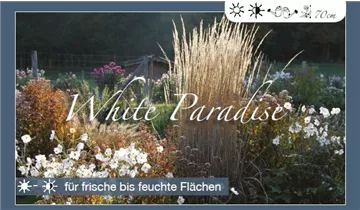 Bildvorschau
