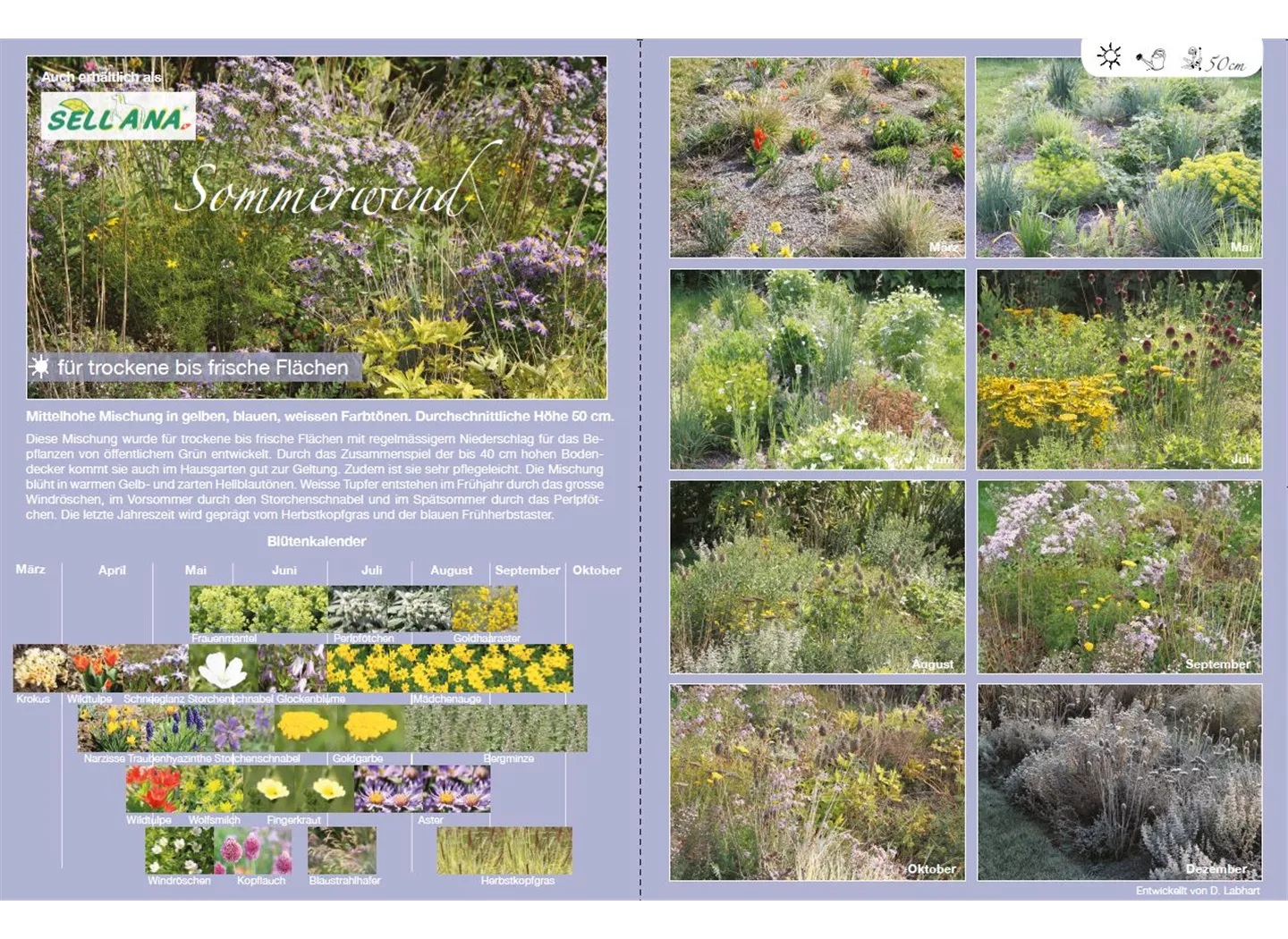 Sommerwind Sommerwind