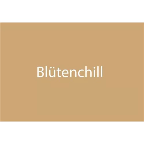 Blütenchill