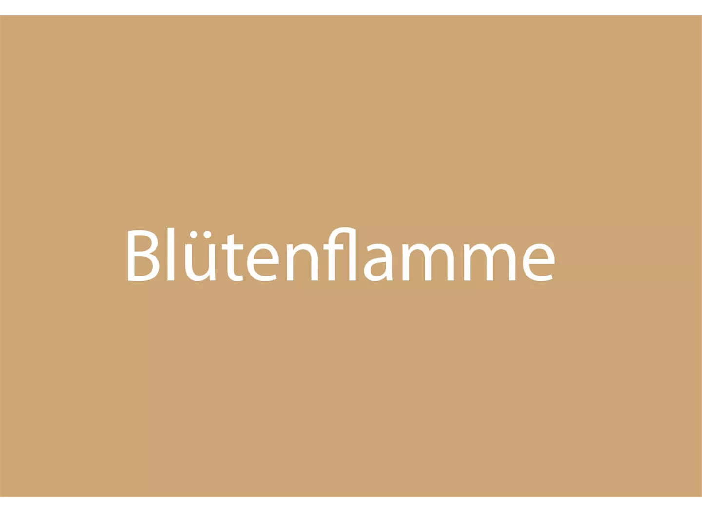 Blütenflamme Blütenflamme