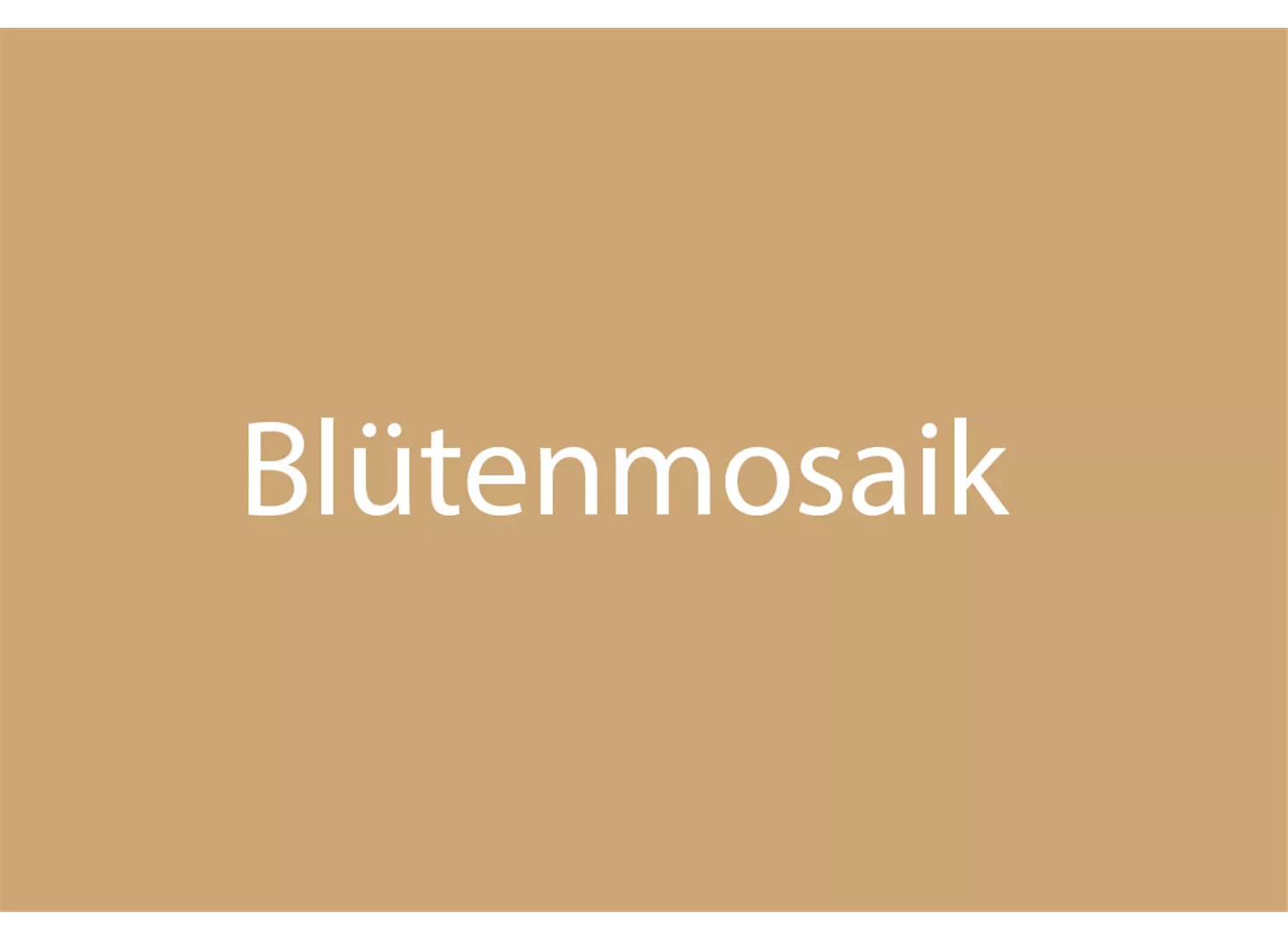 Blütenmosaik Blütenmosaik