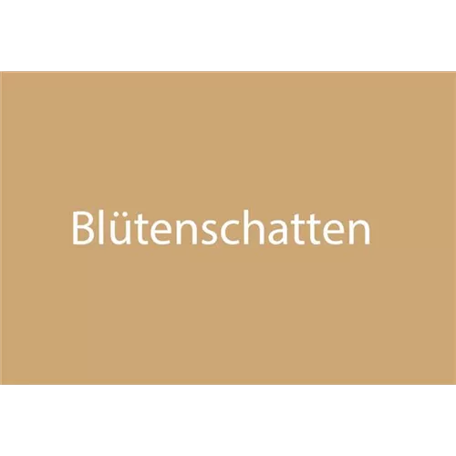 Blütenschatten
