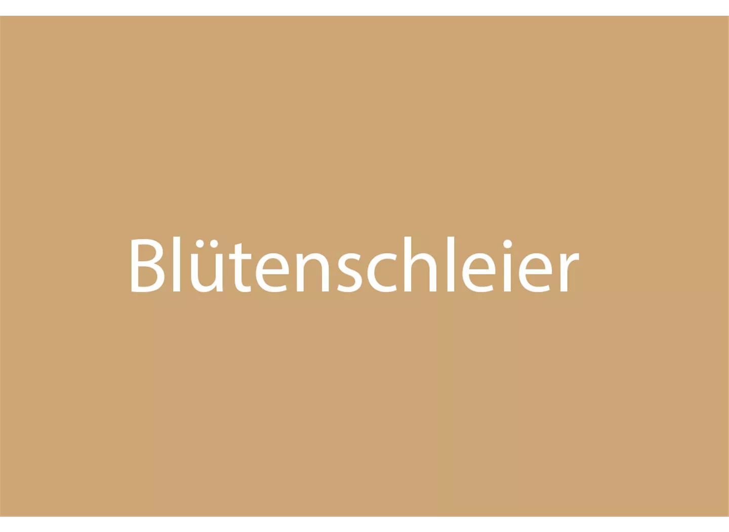 Blütenschleier Blütenschleier