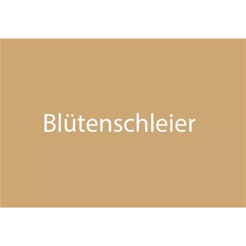 Blütenschleier