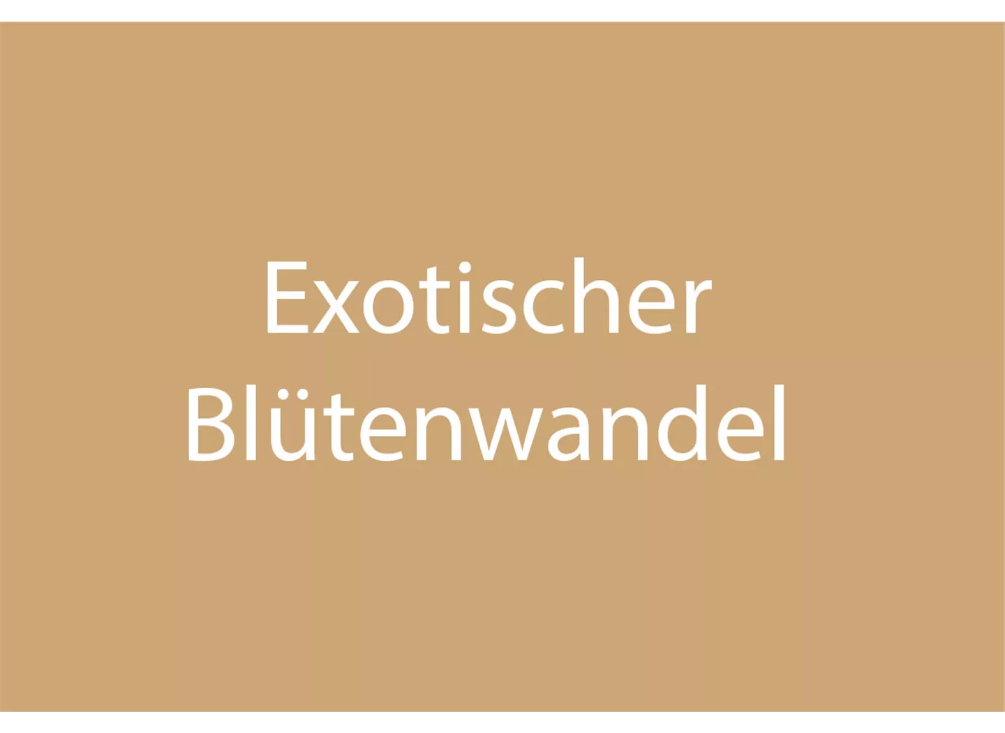 Blütenwandel (exotisch) Blütenwandel (exotisch)