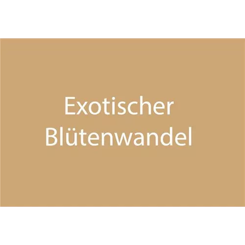 Blütenwandel (exotisch)