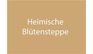 Bildvorschau