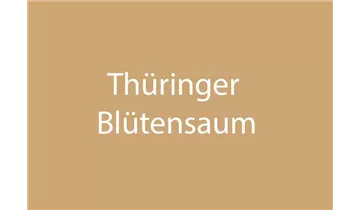 Bildvorschau