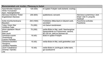 Bildvorschau