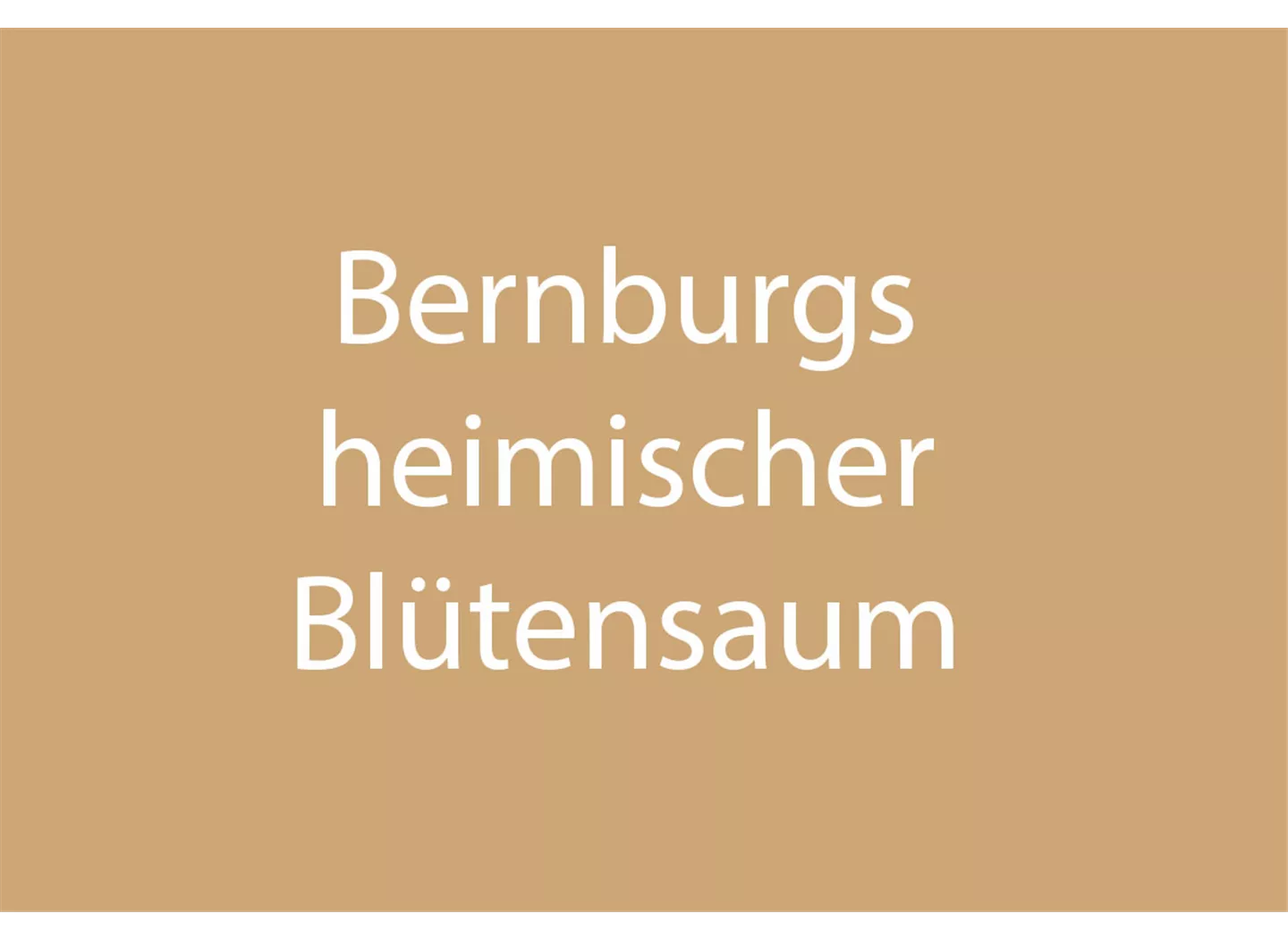 Bernburgs heimischer Blütensaum Bernburgs heimischer Blütensaum