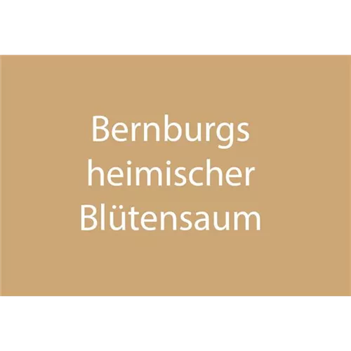 Bernburgs heimischer Blütensaum