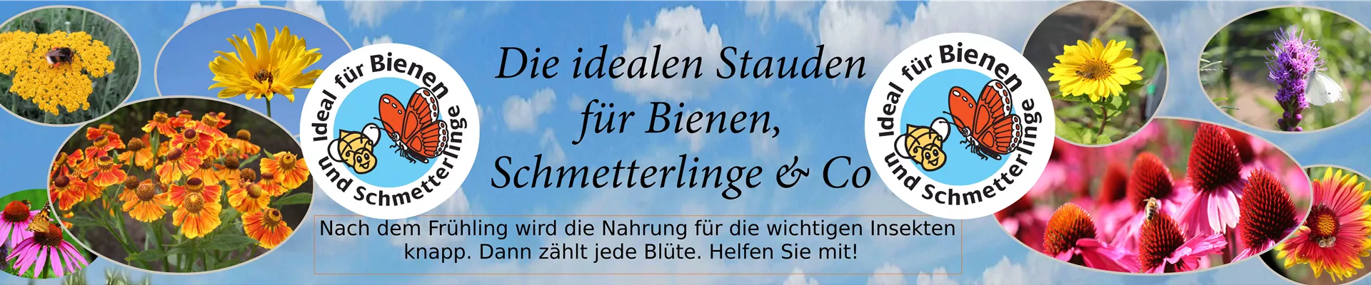 Bienenbanner300x60 11.02.2019-klein2 Bienenbanner300x60 11.02.2019-klein2