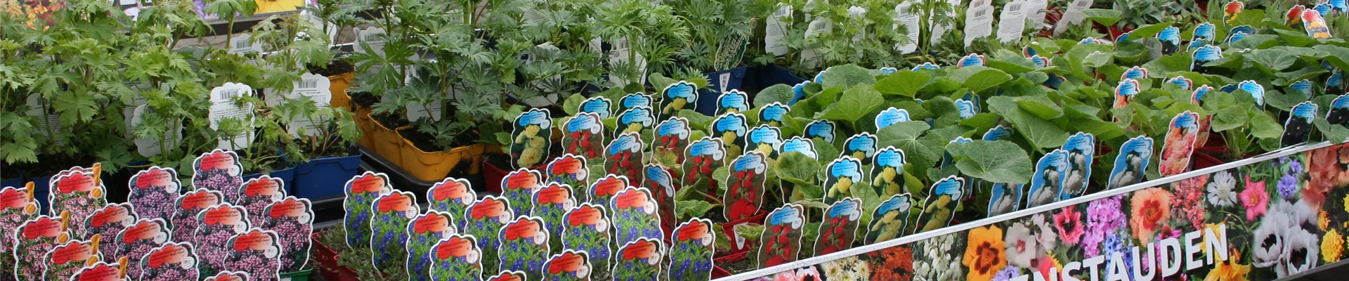 Frontdisplays Frontdisplays