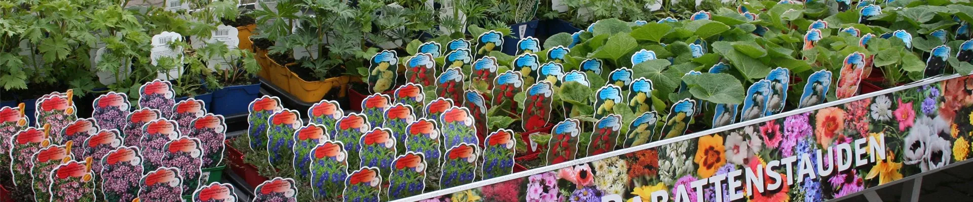 Frontdisplays Frontdisplays