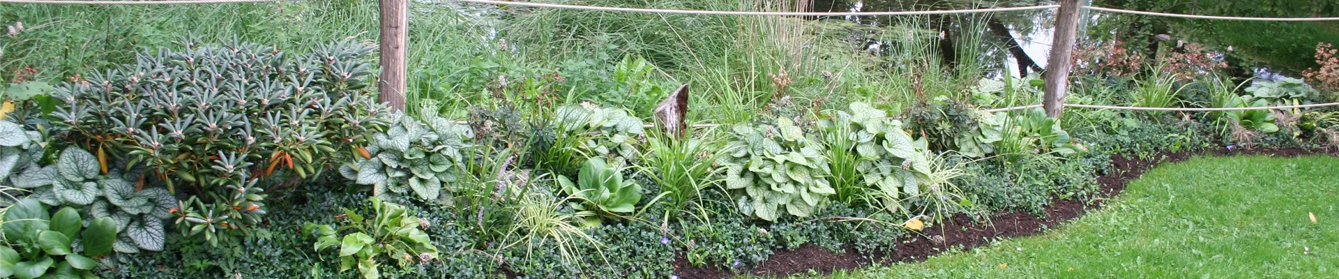 IGA Schattenglanz IGA Schattenglanz