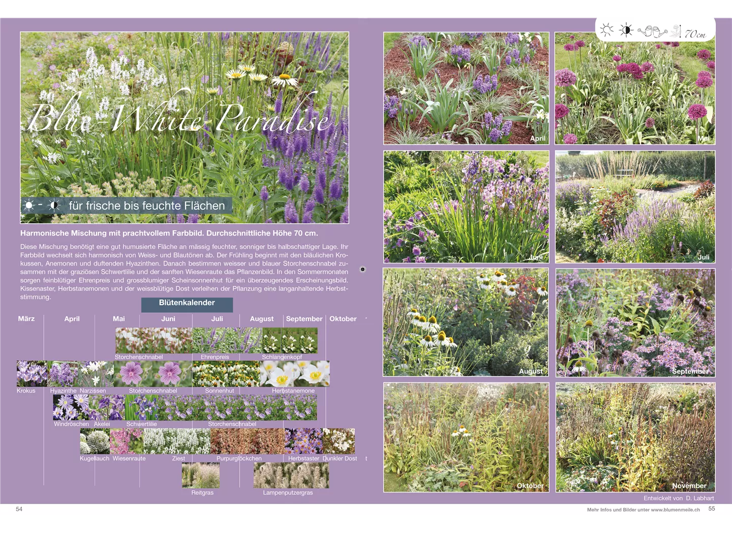 Blue-White Paradise Blue-White Paradise