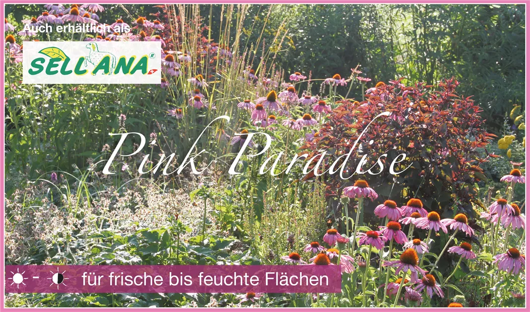 Pink Paradise